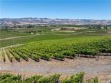 5502 Los Ranchos Road - Photo 16