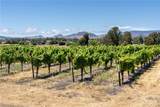 5502 Los Ranchos Road - Photo 30