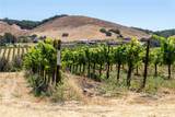 5502 Los Ranchos Road - Photo 31