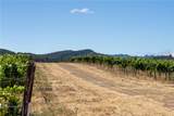 5502 Los Ranchos Road - Photo 32
