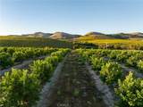 5502 Los Ranchos Road - Photo 41
