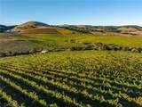 5502 Los Ranchos Road - Photo 42