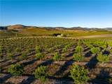 5502 Los Ranchos Road - Photo 49