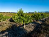 5502 Los Ranchos Road - Photo 61