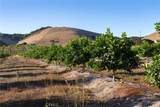 5502 Los Ranchos Road - Photo 65