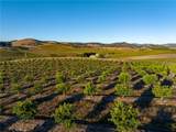 5502 Los Ranchos Road - Photo 71
