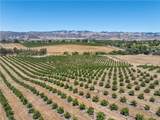 5502 Los Ranchos Road - Photo 8