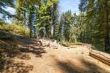 2472 Fanning Grade - Photo 8