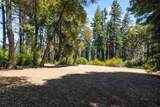 500 Wildberry Drive - Photo 12