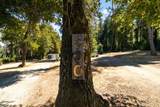500 Wildberry Drive - Photo 23