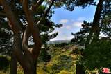 2345 Roscomare Road - Photo 46