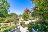 3352 Via Zara - Photo 35