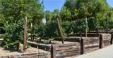 10161 Foothill Boulevard - Photo 57