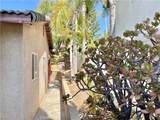 8004 Palm View Ln - Photo 58