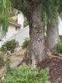 4150 San Ramon Drive - Photo 27