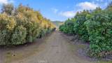 19400 398 - Photo 11