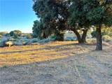29820 Chihuahua Valley Road - Photo 19