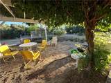 29820 Chihuahua Valley Road - Photo 31