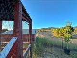 29820 Chihuahua Valley Road - Photo 40