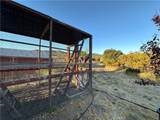 29820 Chihuahua Valley Road - Photo 44