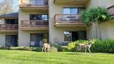 22 Seascape Resort Drive - Photo 37