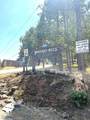 137 Deerhaven Drive - Photo 15