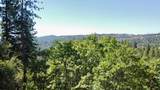 137 Deerhaven Drive - Photo 9