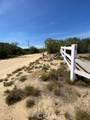 19 Higgins Road - Photo 18