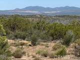 19 Higgins Road - Photo 6
