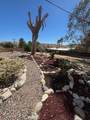 48831 Garden Drive - Photo 41
