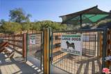 2088 3/4 Topanga Skyline Drive - Photo 38
