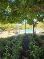 31829 Oak Wood Circle - Photo 34