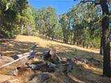 0 Gallegos Ranch Road - Photo 4