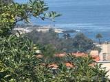 7835 La Jolla Vista Drive - Photo 2