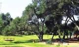 303 Amparo Drive - Photo 10