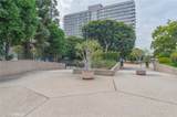 800 1st Street - Photo 18