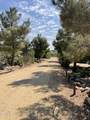 34853 Palgrave Road - Photo 42