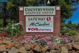 1605 Countrywood Ct - Photo 26