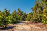 15 Camaron Road - Photo 6