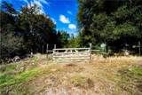 4658 Little Bear - Photo 10