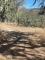 0 Cachagua Road - Photo 1
