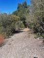 0 Cachagua Road - Photo 10