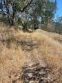 0 Cachagua Road - Photo 7
