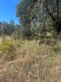 0 Cachagua Road - Photo 9