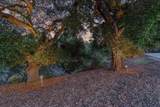 3485 Stable Lane - Photo 70
