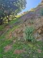2145 Laurel Canyon Boulevard - Photo 1