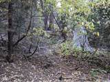 0 Fleming Creek - Photo 3