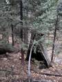 0 Fleming Creek - Photo 4