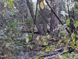 0 Fleming Creek - Photo 5