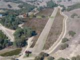 77620 Lowes Canyon Road - Photo 15